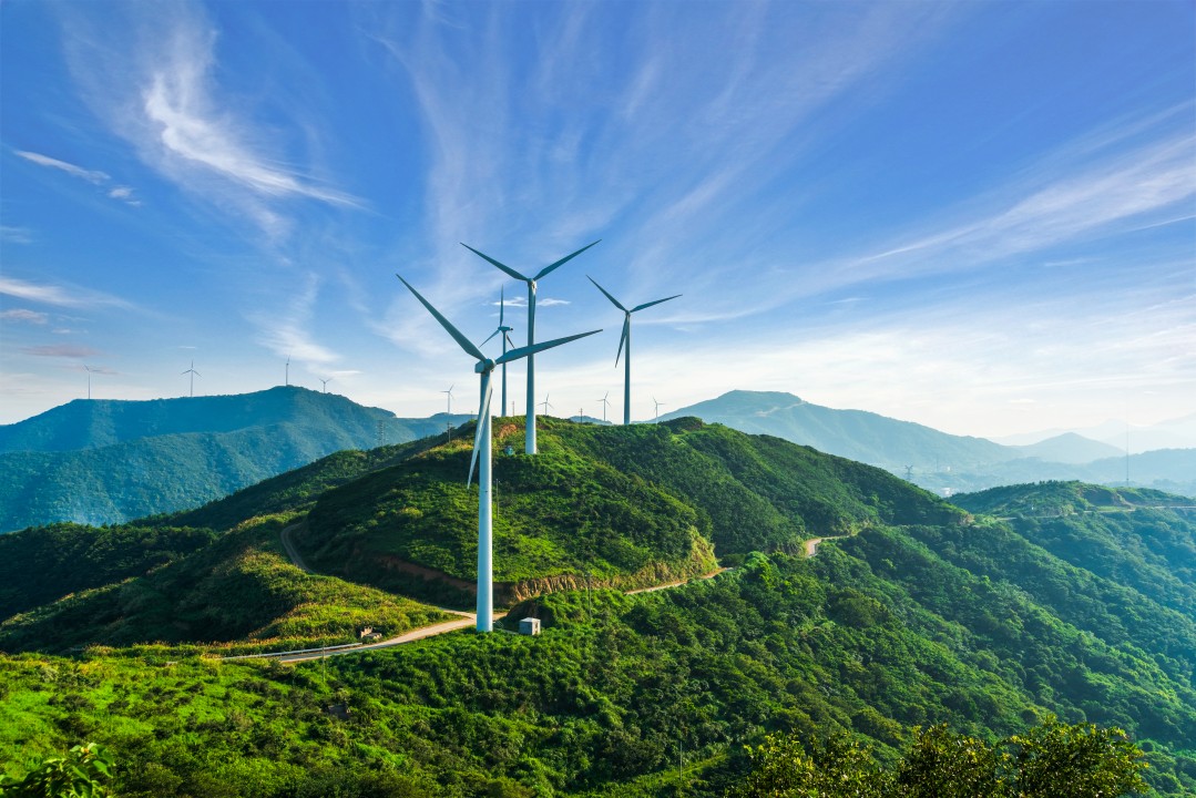 CLIMATE ACTION, CARBON & NET ZERO