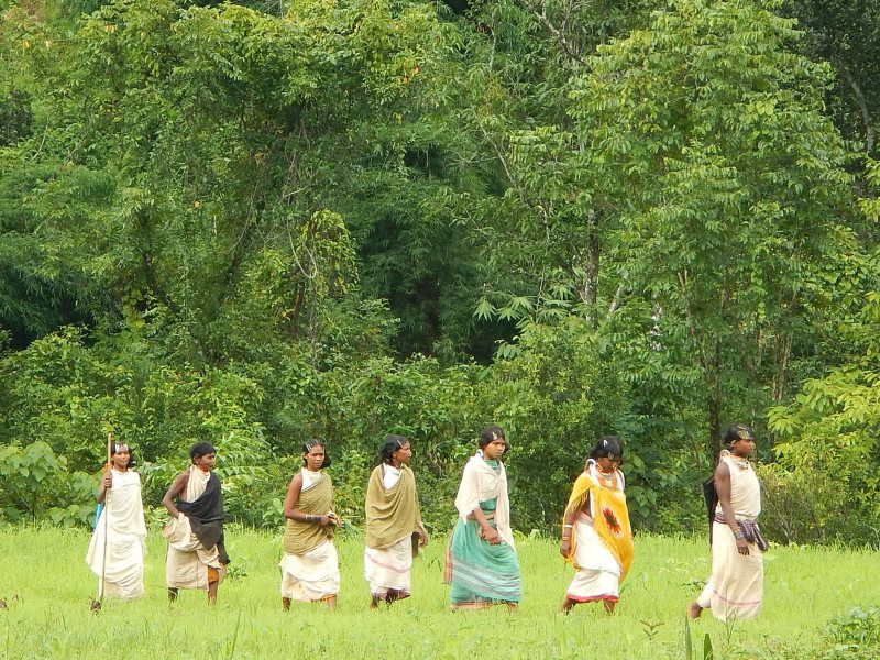 ENVIRONMENT, FORESTRY & NATURAL RESOURCES